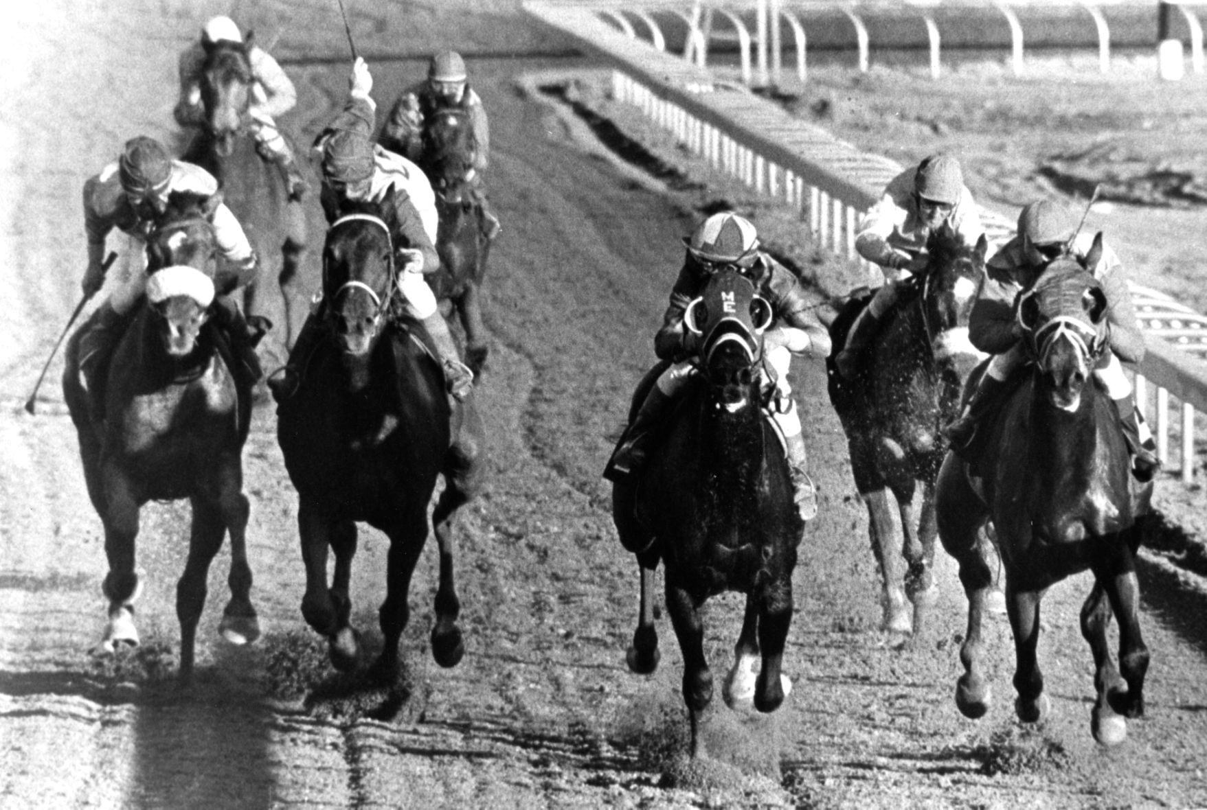 Horse racing at Rillito Park